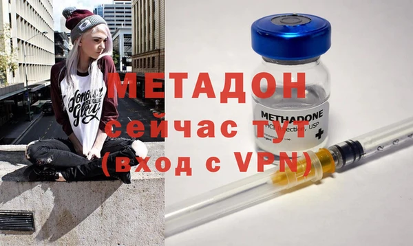 прущие грибы Михайловка