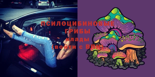 прущие грибы Михайловка