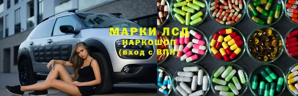 прущие грибы Михайловка