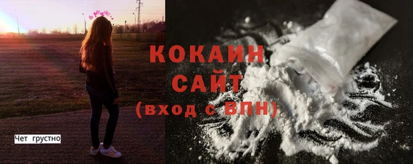 прущие грибы Михайловка