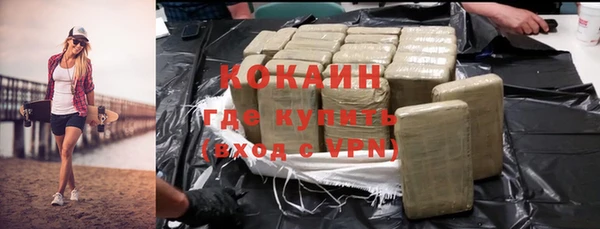 прущие грибы Михайловка