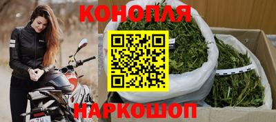 крисы Канаш