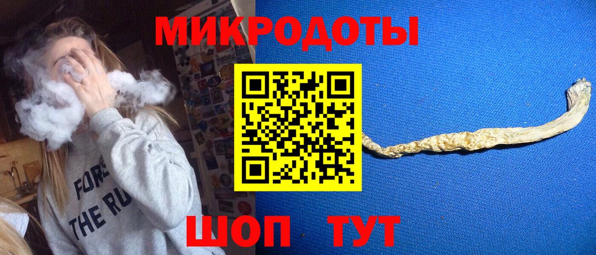 Галлюциногенные грибы Cubensis  Галлюциногенные грибы прущие грибы  Вход с VPN  Химки 