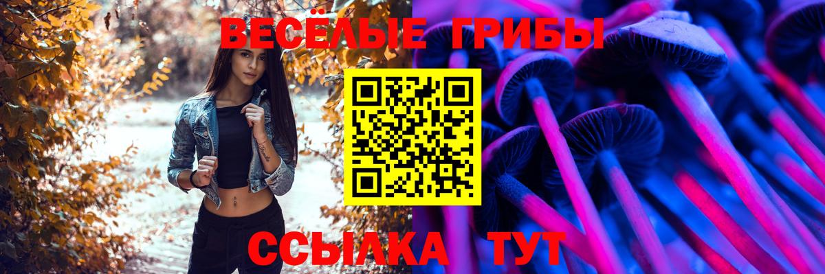 Псилоцибиновые грибы мицелий  Химки  Галлюциногенные грибы ЛСД 